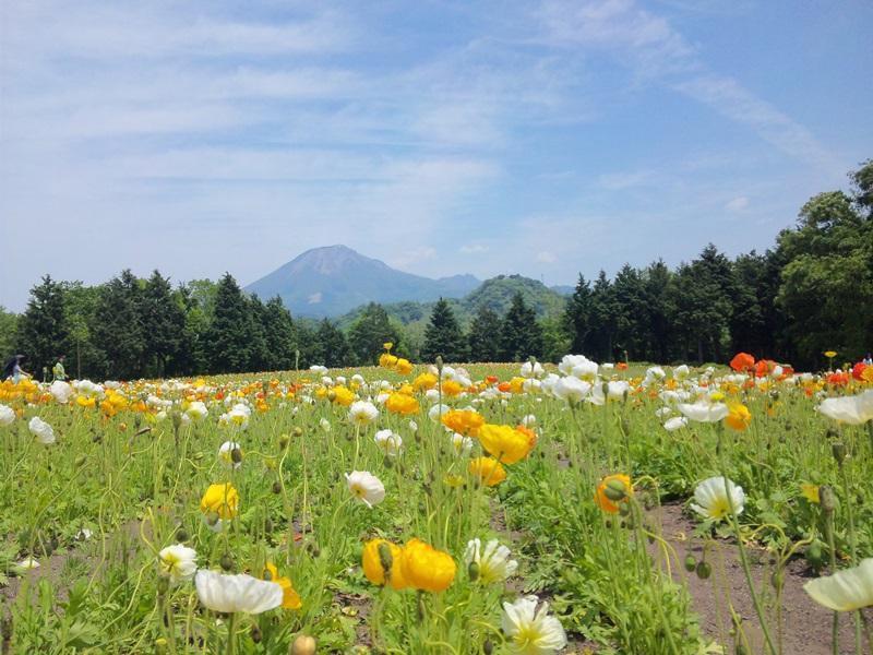 Kutsurogi No Yado Terunoyu Hotel Okayama Ngoại thất bức ảnh